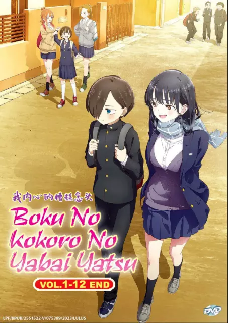 DVD Anime Kaiko Sareta Ankoku Heishi (30-Dai) No Slow(1-12 End) English  Subtitle