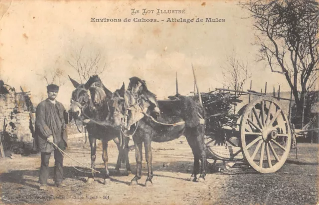 Cpa 46 Cahors Mule Coupling Surroundings