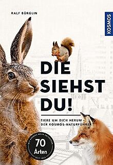 Die siehst du - Die Tiere um dich herum: Hase, Fuchs & C... | Buch | Zustand gut