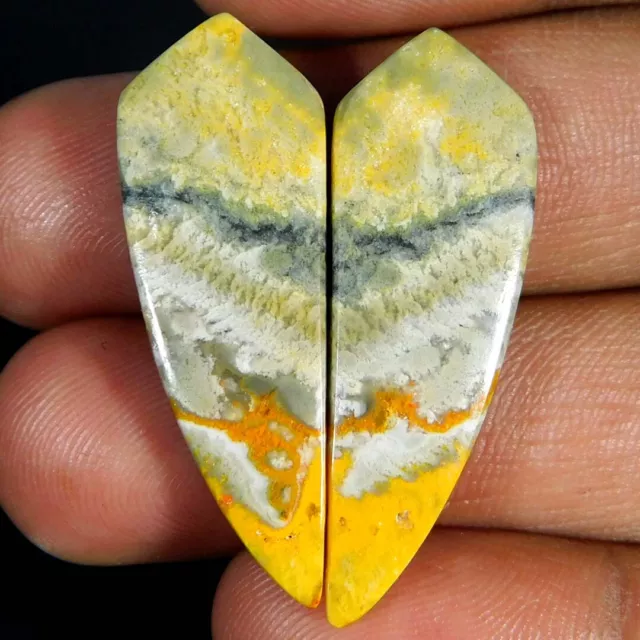 Natural Bumblebee Jasper Matched Pair Fancy Cabochon 24.75Cts. Loose Gemstone