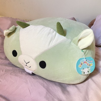 palmer the squishmallow
