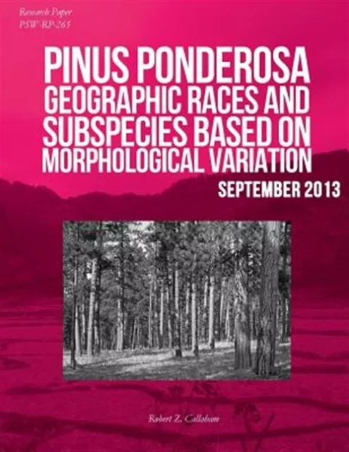 Pinus Ponderosa : Geographic Races and Subspecies Based on Morphological Vari...