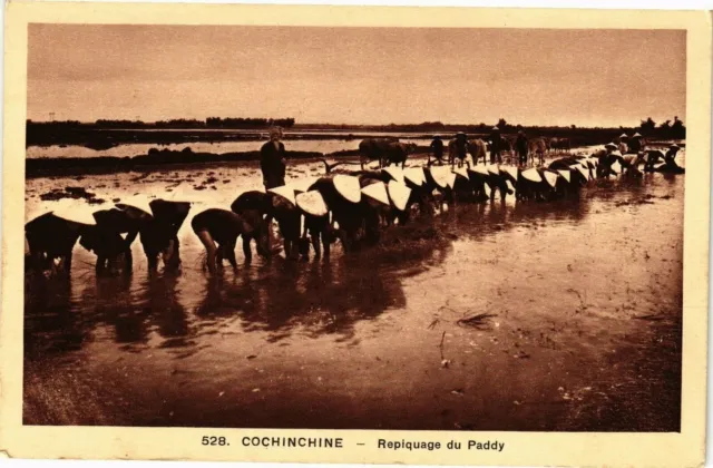 CPA AK VIETNAM Cochinchine - Paddy Transplant (190145)