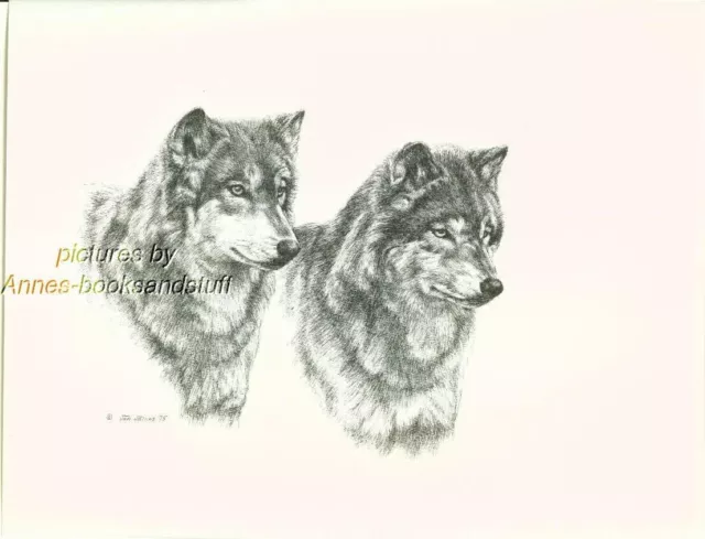 # 125 2 (two) WOLVES  wildlife WOLF art print * pen & ink drawing by Jan Jellins