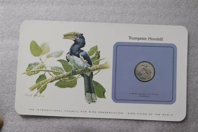 🧭 Zambia 10 Ngwee 1978 Trumpeter Hornbill Coin Cover B49 #29