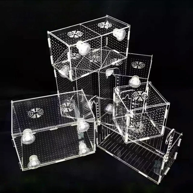 Aquarium Breeder Box Isolation Hatchery Trap Divider Fish Tank Small Double Grid