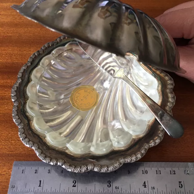 Vintage Silver Plated Sheffield Enhland Shell Shape Butter Dish