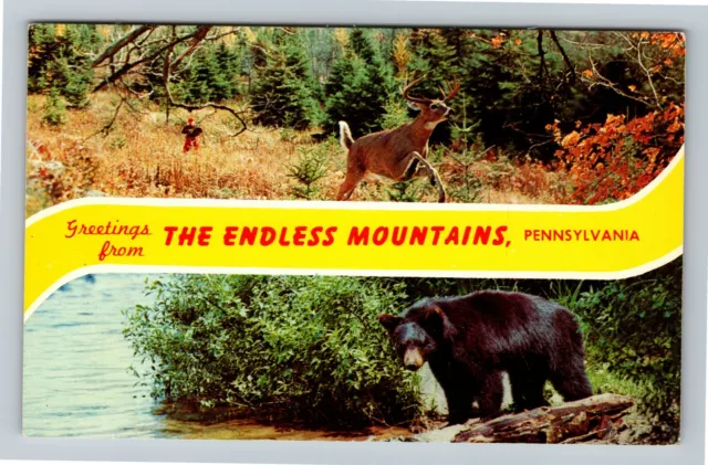 The Endless Mountains PA, Banner Greetings, Bear, Pennsylvania Vintage Postcard