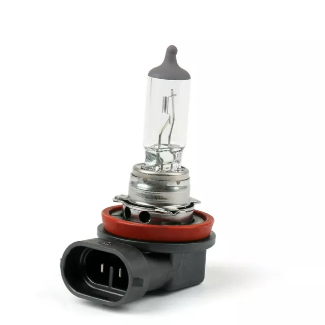 2 X H11 55W 12V  Halogen Headlight, Front Fog Lamp Light Bulbs PGJ19-2 Car Bulb