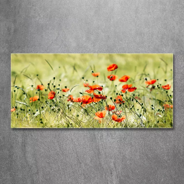 Glas-Bild Wandbilder Druck auf Glas 120x60 Deko Blumen & Pflanzen Mohnblumen