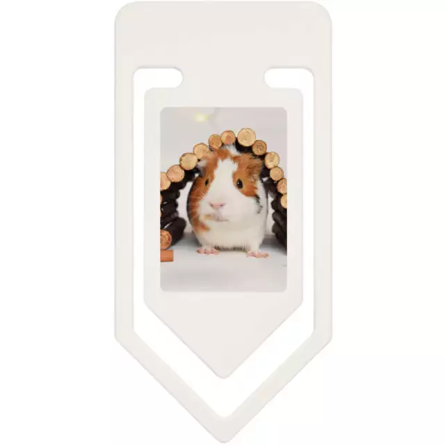 'Guinea Pig' Plastic Paper Clips (CC099665)