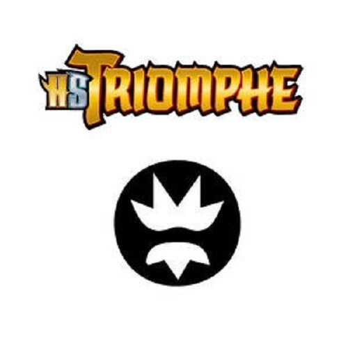 Cartes Pokémon set HGSS Triomphe /102 100% Français 2011 vintage AU CHOIX