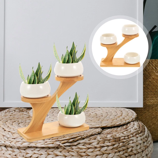 Pianta Della Casa In Vaso Cartoon Set Piante D'appartamento Vaso Di Fiori In Vaso In Ceramica Casa Doodle Linea Icona Stile 36887584