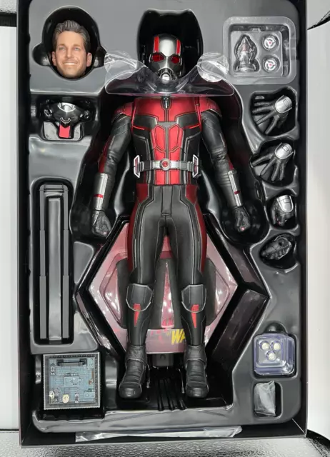 Hot Toys Ant-Man and The Wasp - Ant-Man 1/6th Maßstab Actionfigur