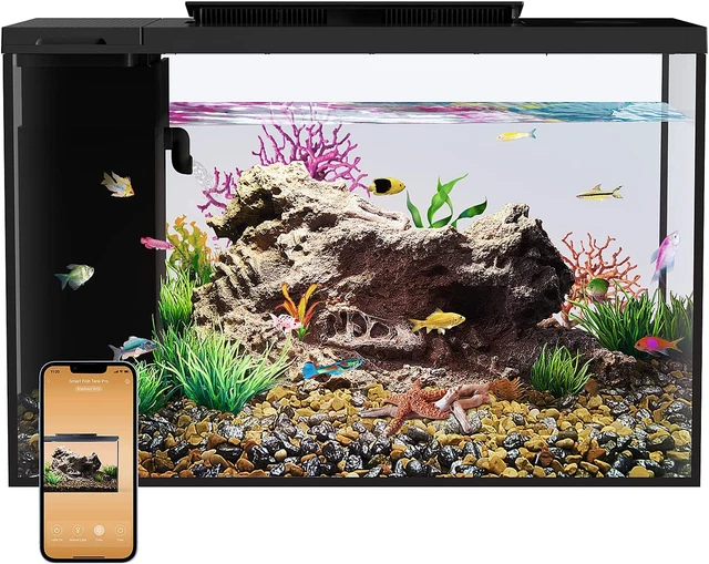 Aquarium Kit 5 Gallon Betta Fish Tank Self Cleaning, Smart Aquarium That Support
