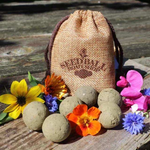 Bunte Blumen Seedballs, Samenbomben im Leinenbeutel, 6,12 oder 20 Stück