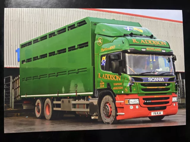 Scottish Livestock Truck Photos 6 x 4 - Scania P Series - R. Addison