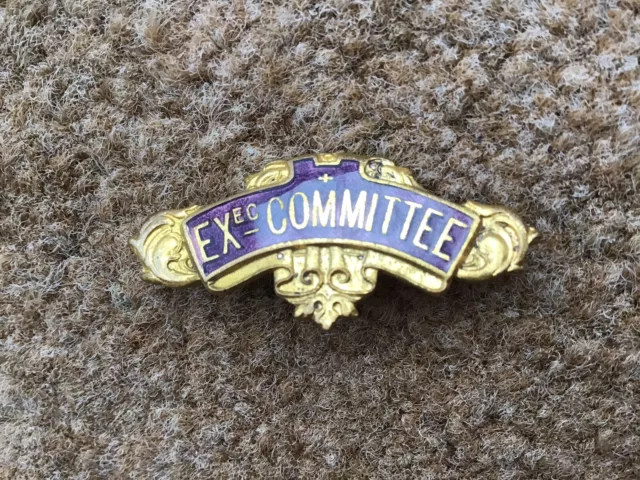 Vintage Executive Committee Ornate Enamel Pin Badge