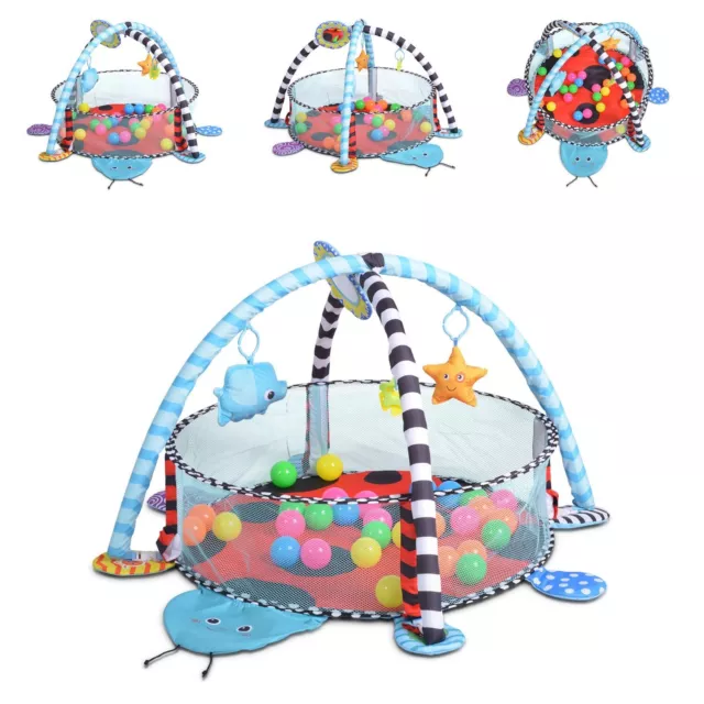 B-Ware Cangaroo Spielbogen Ladyfly 2 in 1 Krabbeldecke, Bällebad, 30 Bälle, blau