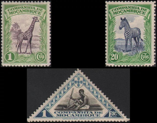 Mozambique Company #175//188