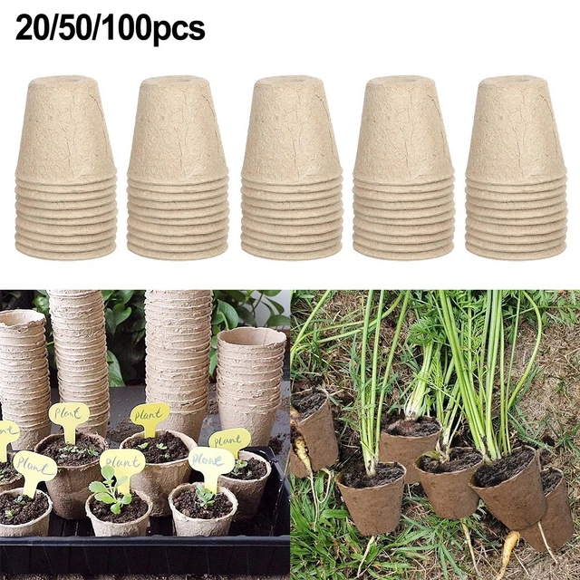STRUMENTI PER trapiantare piantine per piante grasse, fioriera da giardino EUR 3,42 - IT
