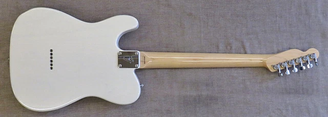 Fender Japan TL71 Ash No.DG608