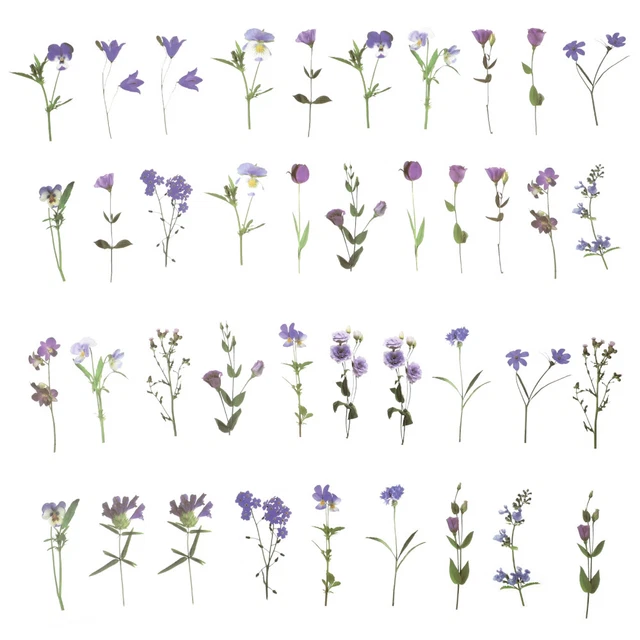 80 Sheets The Pet Sticker Pack Travel Floral Scrapbook Stickers Vintage Flowers