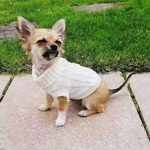 Teacup chihuahua clothes xxs shop