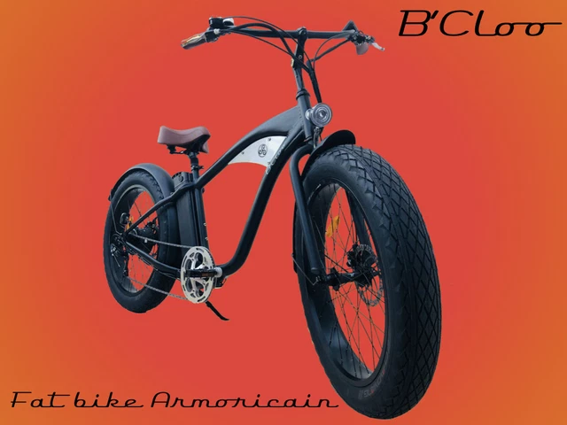 FAT BIKE | Vélo électrique Fat Bike - | spécialiste