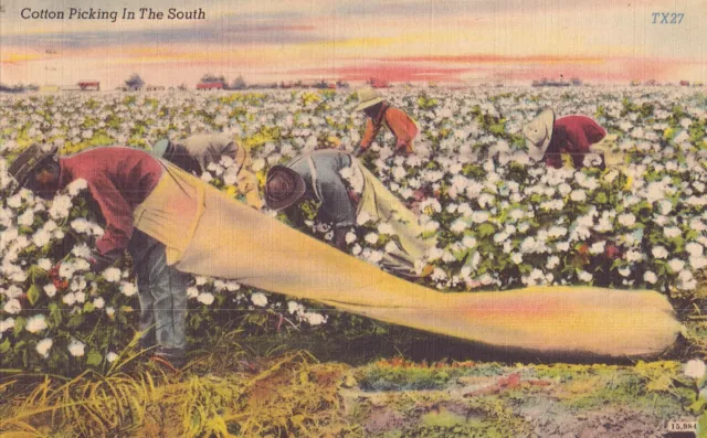 Black Americana Post Card - Picking Cotton 1943