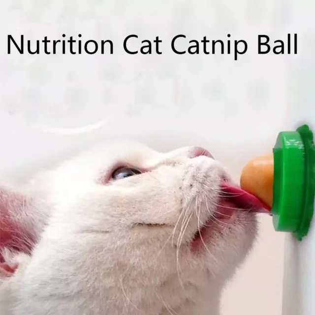 Snack Pudding Catnip Lollipop Vitamin Cat Catnip Ball Catnip Snack Lick Candy