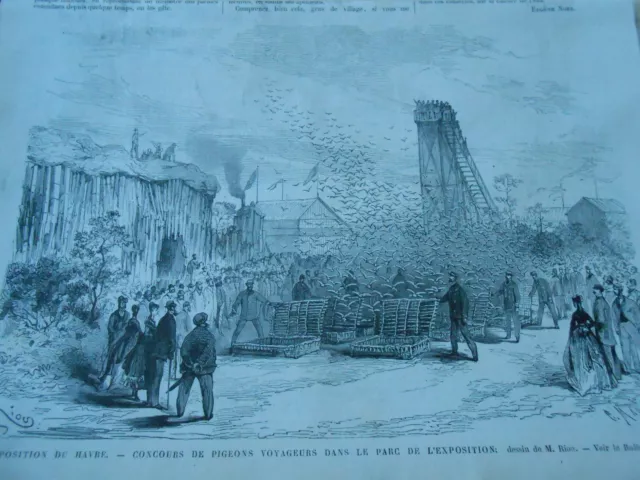 Gravure 1868 - Havre Concours de Pigeons voyageurs parc de l'exposition