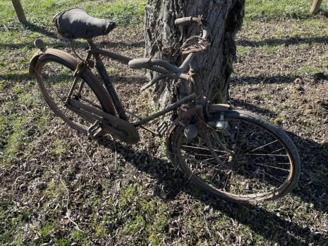 bicicletta d'epoca