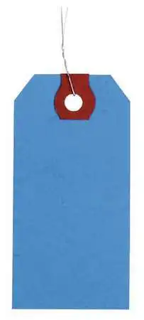 Zoro Select 4Wky6 1-3/8" X 2-3/4" Blue Paper Wire Tag, Includes 12" Wire, Pk1000