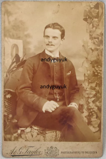 Cabinet Card Handsome Man Moustache Taylor Newcastle Tyne Antique Photo