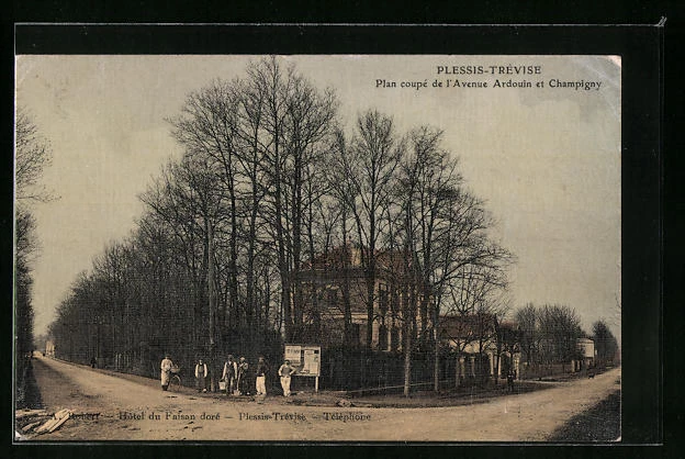 CPA Plessis-Trévise, Plan coupé de l´Avenue Ardouin et Champigny