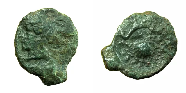 ANCIENT GREEK COIN Dionysios I Syracuse AE17mm Arethusa / Dolphin Shell ...