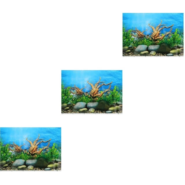 3x fond d'aquarium toile de fond de l'aquarium  image d'aquarium