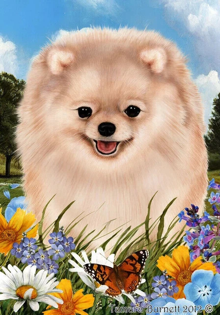 Summer Garden Flag - Cream Pomeranian 184341