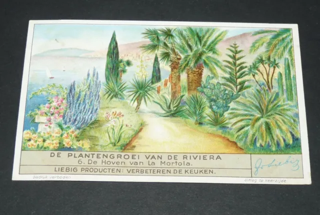 Chromo Liebig 1937 S 1354 Flore Riviera N°6 Jardins Mortola Vintimille Italia