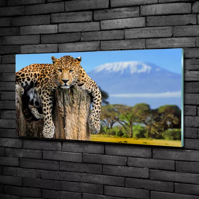 Wandbild aus Plexiglas® Druck auf Acryl 100x50 Tiere Leopard Stamm