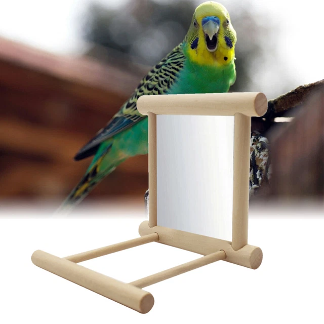1 pieza Perca de cacatúla con espejo espejo pájaro espejo con perca pájaros juguetes