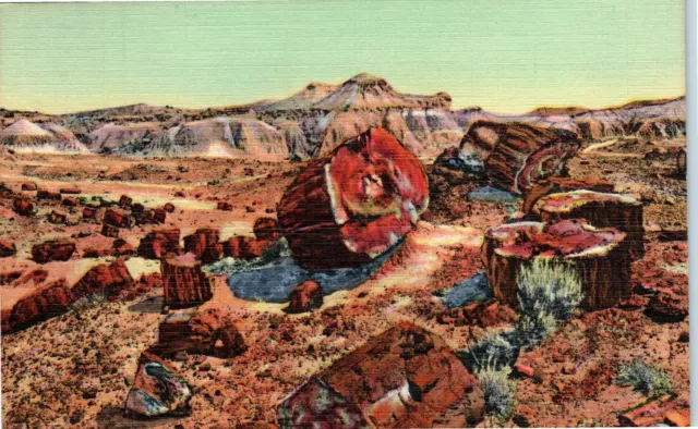 1950s Holbrook Arizona Petrified Forests Santa Fe Linen Postcard 55