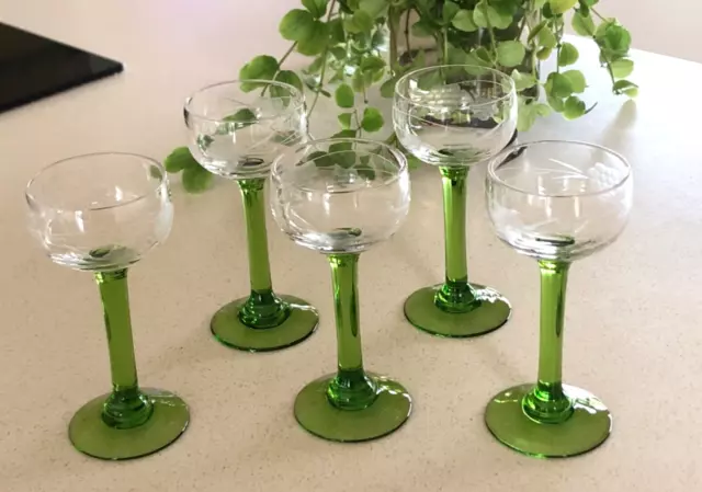 5 petits verres à liqueur gravés raisin pied vert