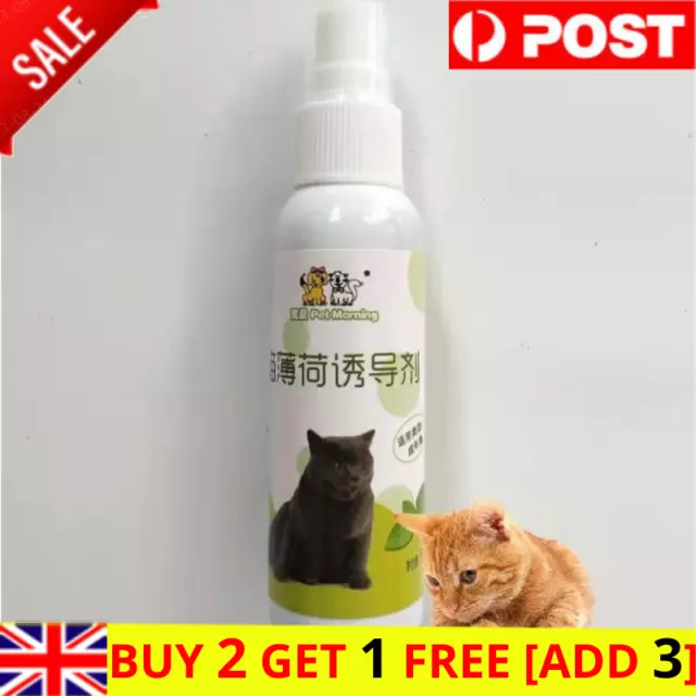 50ml Herbal Catnip Spray Cat Toys and Scratch Posts Cat Nip Natural Organic UK