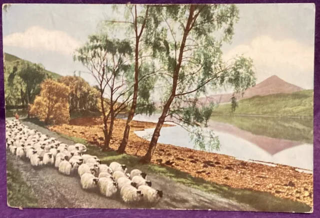 Scotland Schiehallion and Loch Rannoch from Road to the Isles - posted 1965