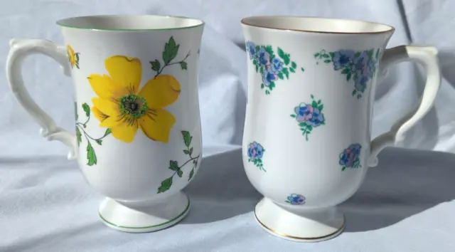 Royal Victoria Fine Bone China, 2 Footed Cups, Floral, VTG Countrycore, England