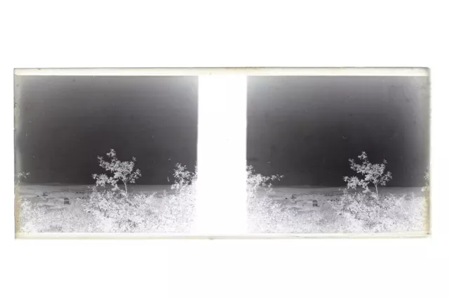 France Landscape Photo Stereo Th3L1n14 Vintage Glass Plate NEGATIVE