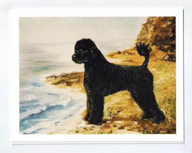 New Portuguese Water Dog By Sea Notecard Set - 12 Note Cards By Ruth Maystead