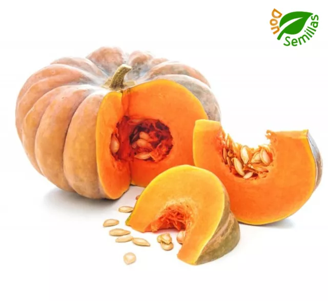 Calabaza Muscade de Provence ( 20 semillas ) seeds